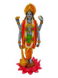 Vishnu Narayann