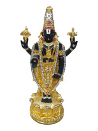 Tirupati Balaji.